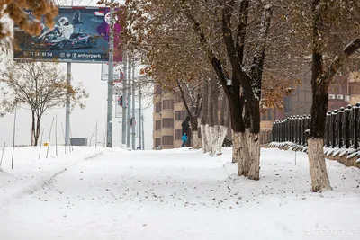 Пик жары позади, но тепла еще жди: какая погода ждет москвичей до конца лета