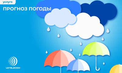 Какой будет погода в декабре – Новости Узбекистана – Газета.uz