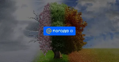 Яндекс Погода дала прогноз на новогодние праздники