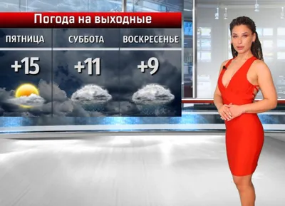 Погода в Туле 14 января: от нуля до -5 и без осадков - Новости Тулы и  области - MySlo.ru