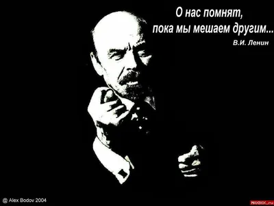 Как говорил один мой преподаватель: \"Учись! Пока поймут, что ты дебил, ты  уже майор. Пока решат, чт / текст на белом фоне :: политика (политические  новости, шутки и мемы) :: карьерный рост /