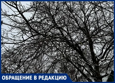 Пока-я-не-Я. Практическое руководство по трансформации судьбы (Дмитрий  Троцкий) - купить книгу с доставкой в интернет-магазине «Читай-город».  ISBN: 978-5-17-982470-1