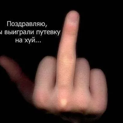Арестович обматерил пользователя Facebook из-за украинского языка — новости  Украины / NV