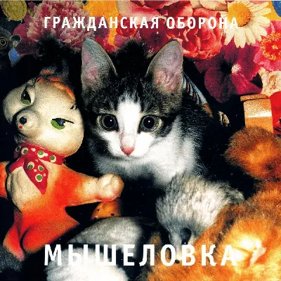 Забавная наклейка You Go To Hell If Things, автомобильные наклейки,  автомобильные наклейки, декоративные аксессуары для Audi BMW,15 см * 17 см  | AliExpress