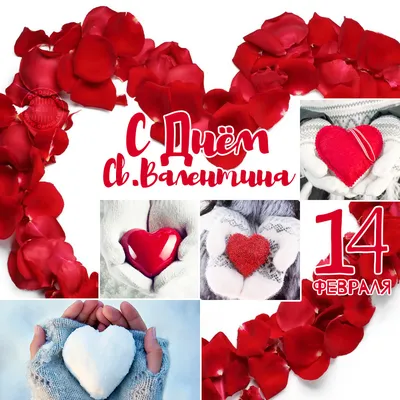 https://echonedeli.ru/social/prazdniki/3263-samyj-romantichnyj-prazdnik-den-vseh-vljublennyh-14-fevralja-trogatelnye-otkrytki-i-krasivye-stihi-dlja-ljubimyh.html