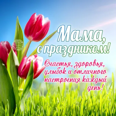 Поздравление с Днем Матери! | Дальнереченский муниципальный район