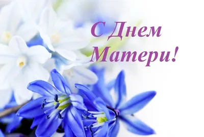 Поздравляю всех матерей🌺 С ДНЕМ МАТЕРИ,здоровья, удача эти не легкие дни с  уважением к вам т,ЛИЗА🌺🌷🌻 | ВКонтакте