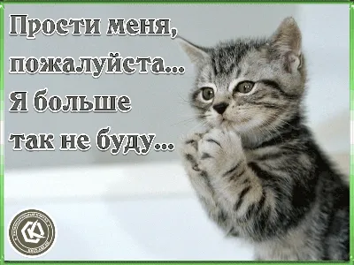 Купить знак «Пожалуйста, закрывайте дверь» за ✓ 25 руб.