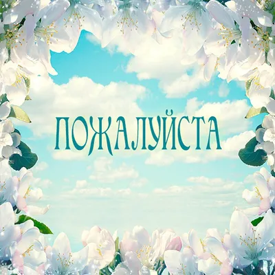 Пожалуйста, помогите! | Пикабу
