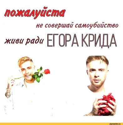 АЛЛО, ЗДРАВСТВУЙТЕ, ОТМЕНИТЕ ПОЖАЛУЙСТА МОЮ ЗАПИСЬ К ПСИХОЛОГУ, МЕНЯ НА  РАБОТЕ ПОХВАЛИЛИ / anon / картинки, гифки, прикольные комиксы, интересные  статьи по теме.