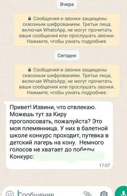 Проголосуй за Юлю, пожалуйста»: мошенники массово пытаются взломать жертв в  WhatsApp — Улус Медиа