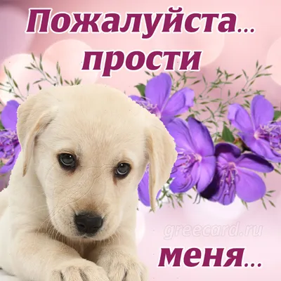 Смотреть сериал Не встречайся с ним, пожалуйста! / Не встречайтесь с этим  парнем онлайн бесплатно в хорошем качестве