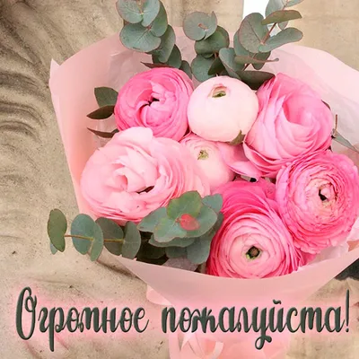 Картинки прости меня пожалуйста красивые и прикольные