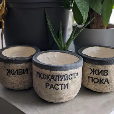 Открытки со словом пожалуйста