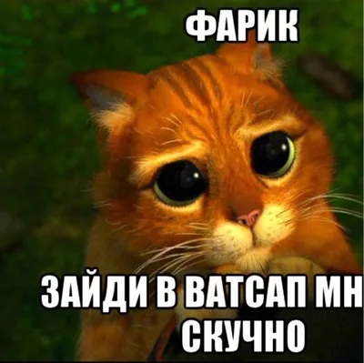 Волшебные слова в русском языке: откуда произошли слова здравствуйте,  спасибо и пожалуйста