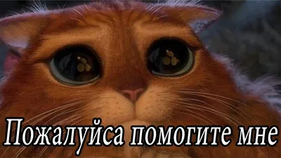 Мир Кубиков, ну пожалуйста! | Пикабу