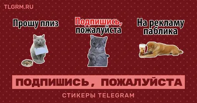 Облепиха Всегда пожалуйста быстрозамороженная, 300 г - отзывы покупателей  на Мегамаркет