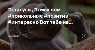 стихи #мудрость #жизнь #статусы #афоризмы #цитатыпрожизнь #высказование # позитив #психология | Instagram