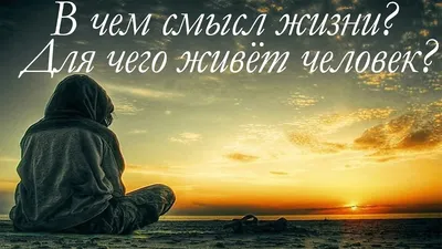 статусы, #смыслом #прикольные #позитив #интересно Поздравляю, скоро  увидемся... | Аниме шоу | Дзен