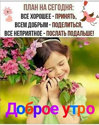 Картинки позитив