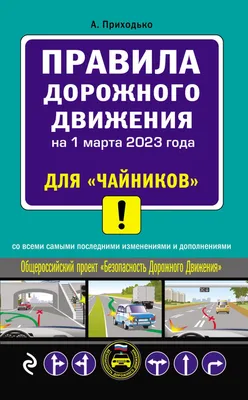 Плакат для детей обучающий правила дорожного движения для детей для  начальной школы и детского сада А2 - купить с доставкой по выгодным ценам в  интернет-магазине OZON (627992131)