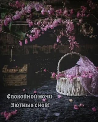Приятных сновидений! | Ночь, Спокойной ночи, Работы