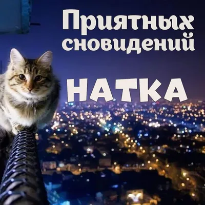 Доброй ночи!🥰🥰🥰 Приятных сновидений!💫🌛💫 #добройночи #спокойнойно... |  TikTok