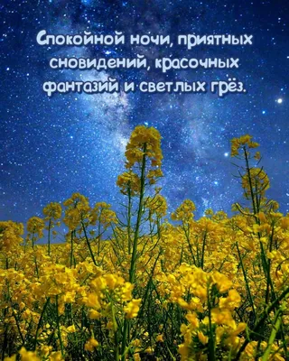 Приятная открытка спокойной ночи и приятных снов за 2023 год
