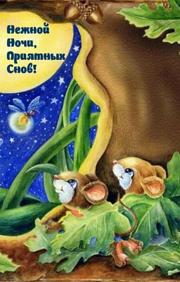 Доброй ночи! Приятных сновидений - Лента новостей Мелитополя