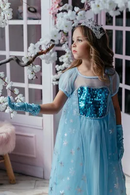 Платье принцессы Эльзы синее со шлейфом и пайетками (ID#1689320419), цена:  899 ₴, купить на Prom.ua