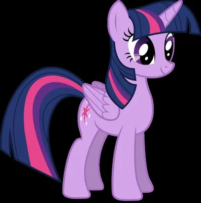 My Little Pony Исследователь Эквестрии Принцесса Сумеречная Искорка My  Little Pony Princess Twilight Sparkle Hasbro B8822 ➦ купить в интернет  магазине dzhitoys.com.ua, цена 272 грн.