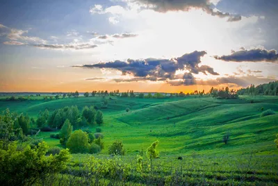 Подборка уникальных уголков природы в Украине.