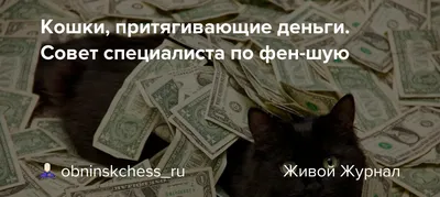 Обои для притягивания денег - 63 фото