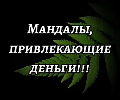 Россиянам назвали главные приметы, привлекающие удачу и богатство