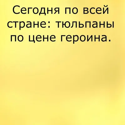 Мемы, прикольные картинки с надписями и подарки на 8 марта | Mixnews