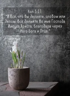 О третьей заповеди Бога, или Какой вред могут нанести человеку его  собственные слова?