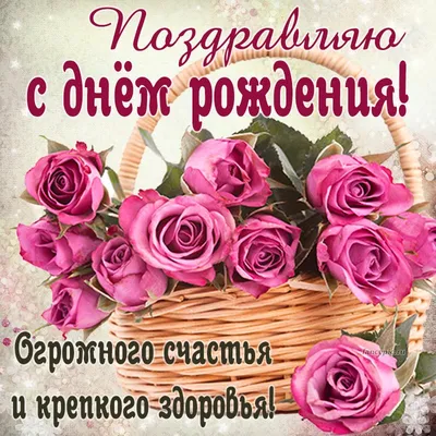 Открытка на день рождения с розой — Slide-Life.ru