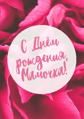 Создание видео ко дню рождения | Более 1000 шаблонов и песен [бесплатно] :)