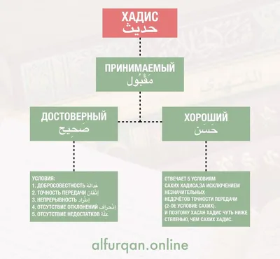 Что ислам говорит о насекомых? | Lectorient | Дзен