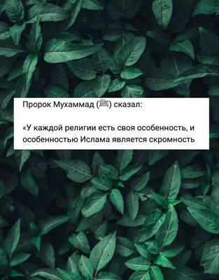 ЧЕЛОВЕК И ТРУД В ИСЛАМЕ - Официальный сайт Духовного управления мусульман  Казахстана