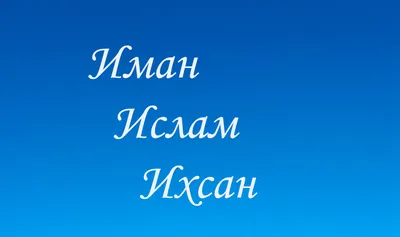 Алексей Журавский «Введение в ислам» - ВСЕ СВОБОДНЫ