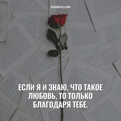 Стих о любви | об расставании | со смыслом до слез | автор неизвестен | без  озвучки - YouTube