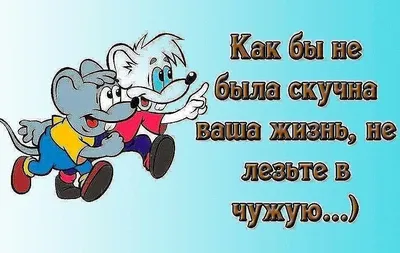 Почему люди лезут в чужую жизнь с советами, когда их не просят? - Восточная  мудрость | Мудрость жизни | Дзен