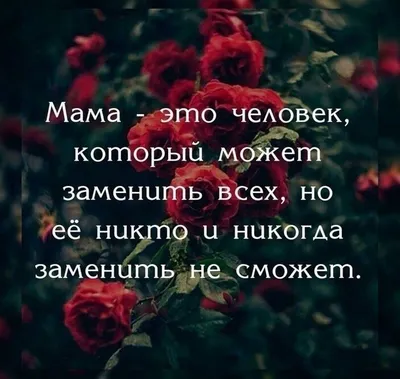 ДНЕВНИК МУСУЛЬМАНКИ © ИСЛАМ on Instagram: \"Мама была твоей дверью в эту  дунью (мир). И она же, будет твоей дверью в Рай. Заботься о ней. ☝Ислам  считает благодеяние и доброту к матери,