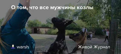 Иллюстрация 6 из 9 для Как относиться к себе и к людям, или практическая  психология на каждый день - Николай Козлов | Лабиринт - книги. Источник:  ЛиС-а