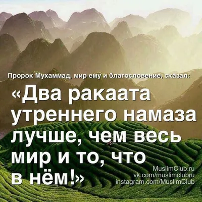 Совершивший утренний намаз удостаивается покровительства Всевышнего.  Пророк, да благословит его Аллах и приветствует, сказал:… | Instagram