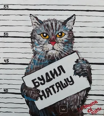 Георгиевск - 😸 Автор мема про Наташу и котов, владелица паблика «Котизм» в  социальной сети «ВКонтакте» Дарья Бородулина, решила зарегистрировать  товарный знак «Наташа, мы все уронили». Соответствующая заявка появилась на  сайте Федерального