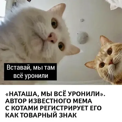 имя#имена#Наташу#наташа | TikTok