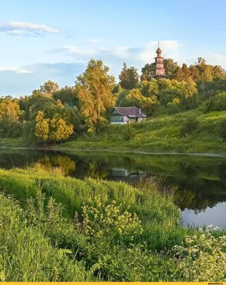 Красивая природа России | Birch tree painting, Painting, Scenery
