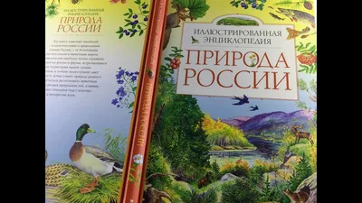 Красивая природа России» — создано в Шедевруме